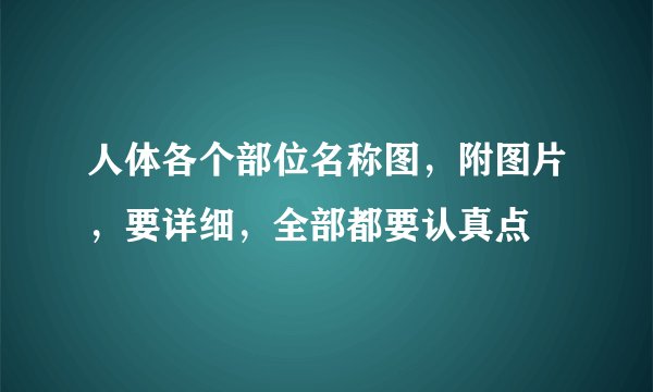 人体各个部位名称图，附图片，要详细，全部都要认真点