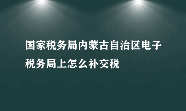 国家税务局内蒙古自治区电子税务局上怎么补交税