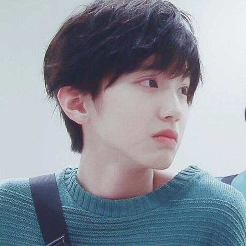 道枝骏佑在日本的名气大概和哪个中国明星名气一样？