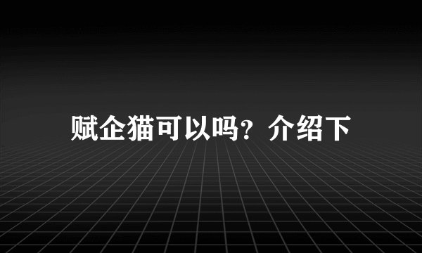 赋企猫可以吗？介绍下