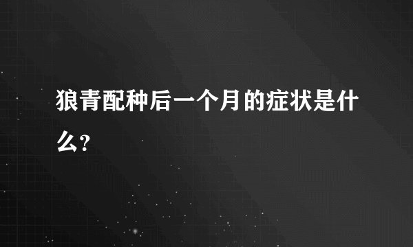 狼青配种后一个月的症状是什么？