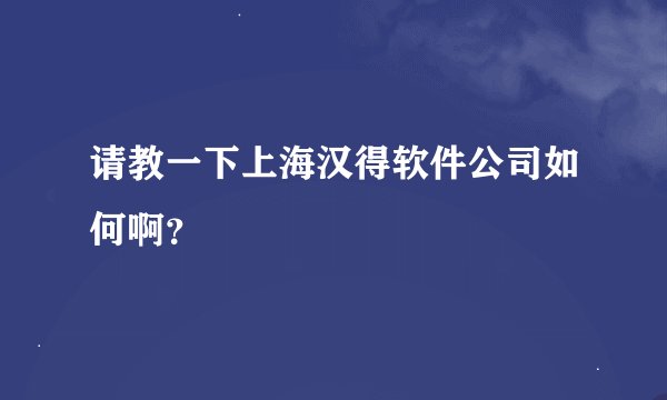 请教一下上海汉得软件公司如何啊？