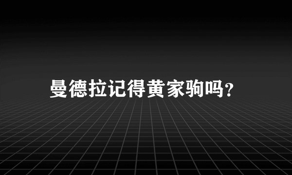 曼德拉记得黄家驹吗？