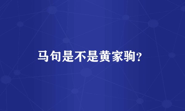 马句是不是黄家驹？