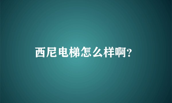 西尼电梯怎么样啊？