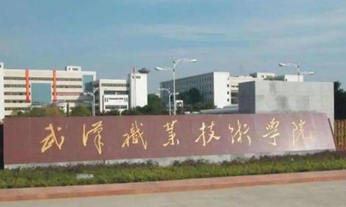 武汉的高职高专排名