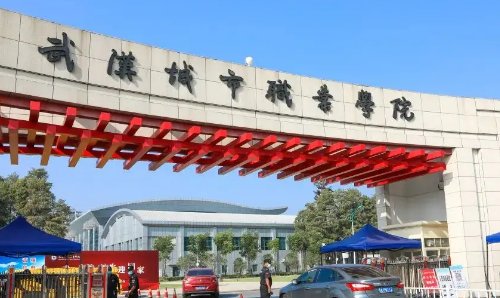 武汉的高职高专排名