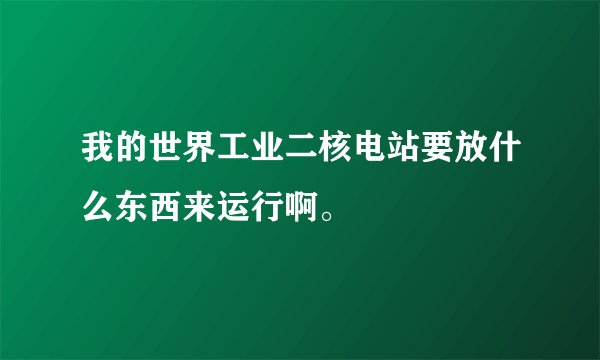 我的世界工业二核电站要放什么东西来运行啊。