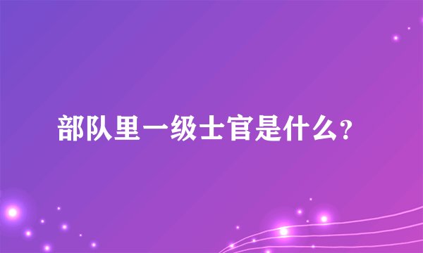 部队里一级士官是什么？