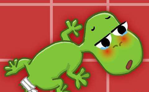 家里常见的壁虎有毒吗，对人体有危害吗