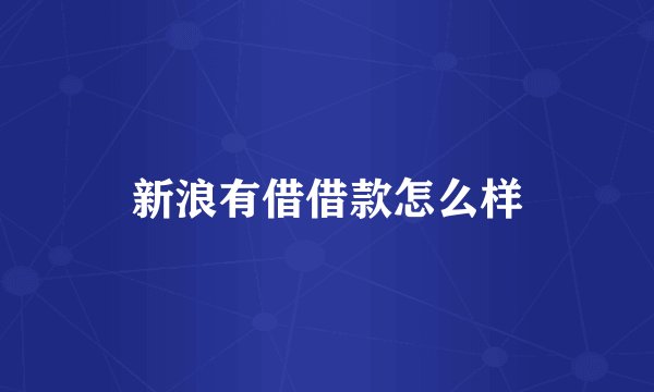 新浪有借借款怎么样
