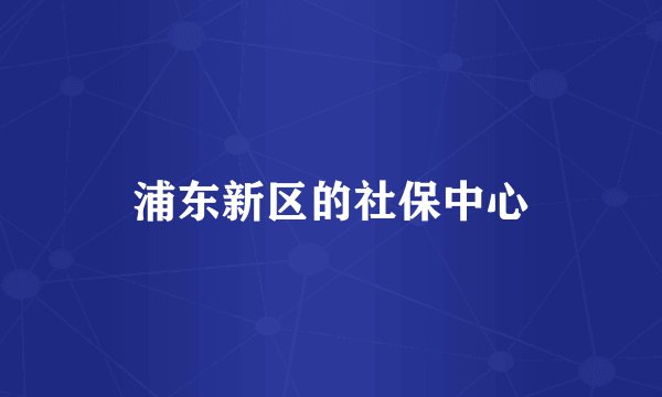 浦东新区的社保中心