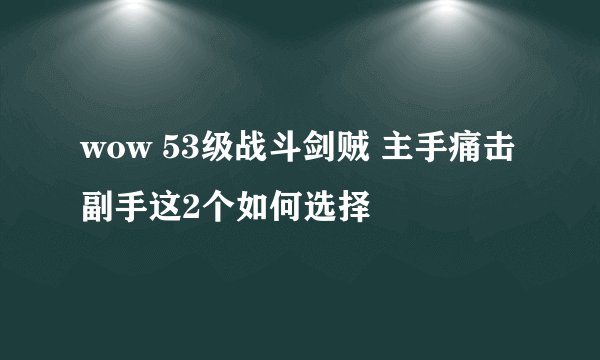 wow 53级战斗剑贼 主手痛击 副手这2个如何选择
