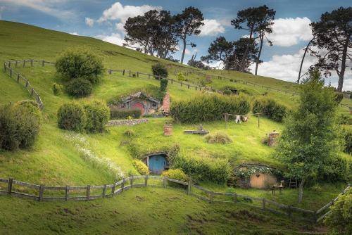 人属至少有17个成员，为什么最后就只剩下了智人呢？