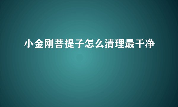 小金刚菩提子怎么清理最干净