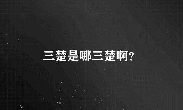 三楚是哪三楚啊？