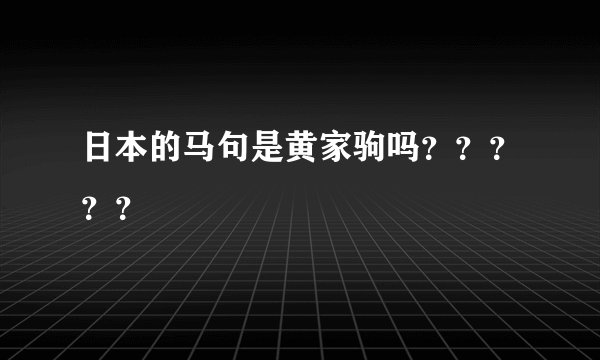 日本的马句是黄家驹吗？？？？？