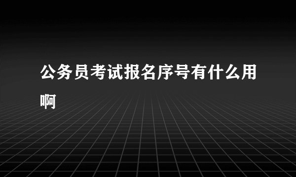 公务员考试报名序号有什么用啊