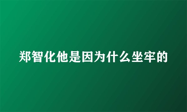 郑智化他是因为什么坐牢的