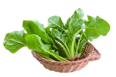 “菠”的组词有哪些？需要三个组词？