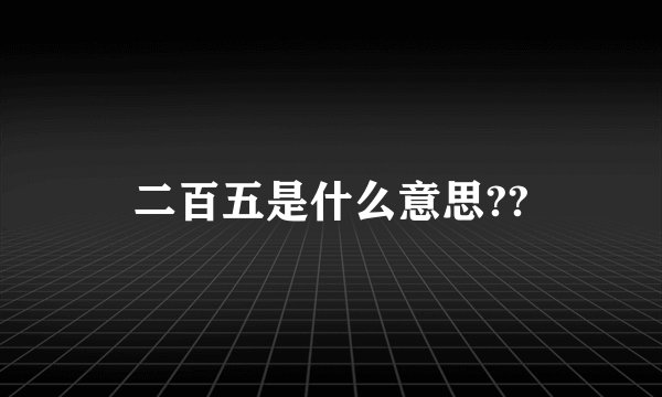 二百五是什么意思??