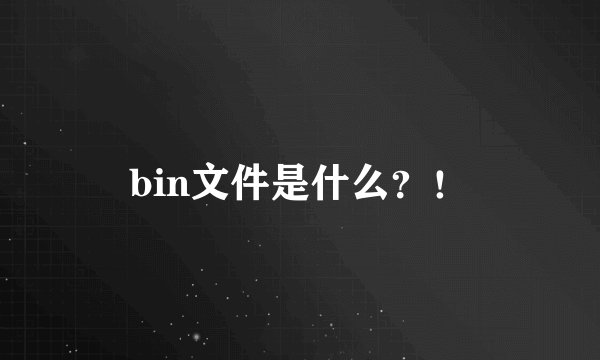 bin文件是什么？！