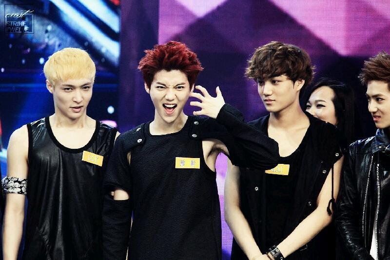 请问2013年EXO会上快乐大本营吗？？录了吗？我听说四月份他们会录好多湖南卫视的节目，听说还有天天向...