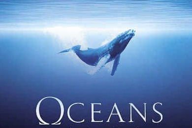 高分纪录片top20排行榜已经出单,你看过这些纪录片吗?