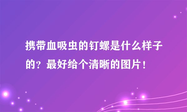 携带血吸虫的钉螺是什么样子的？最好给个清晰的图片！