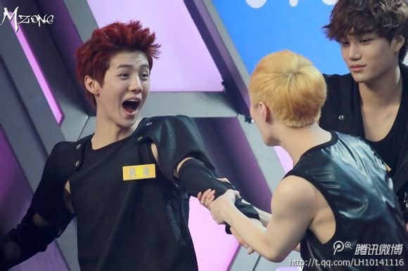 请问2013年EXO会上快乐大本营吗？？录了吗？我听说四月份他们会录好多湖南卫视的节目，听说还有天天向...