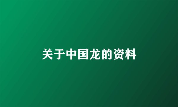 关于中国龙的资料
