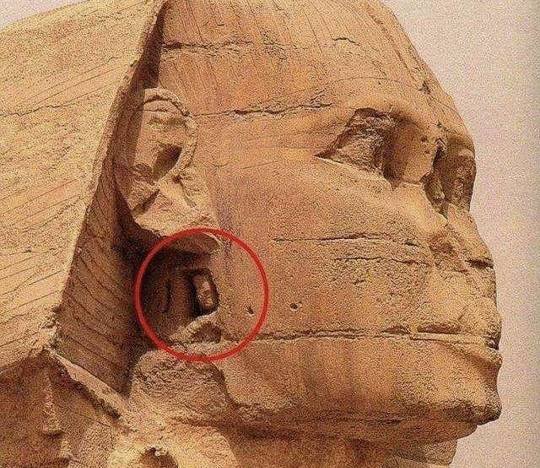 火星男孩波力斯卡怎么没有消息了呢?