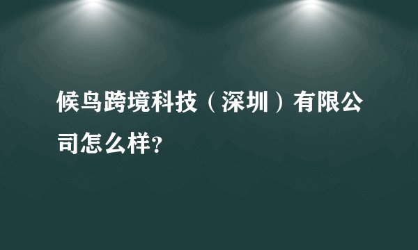 候鸟跨境科技（深圳）有限公司怎么样？