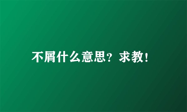 不屑什么意思？求教！