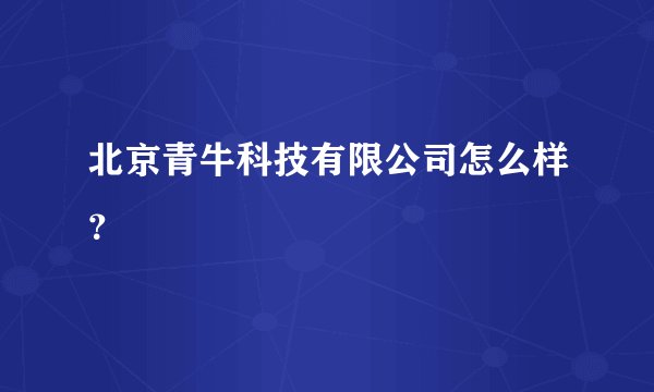 北京青牛科技有限公司怎么样？