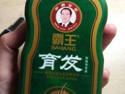 用霸王育发液有用吗