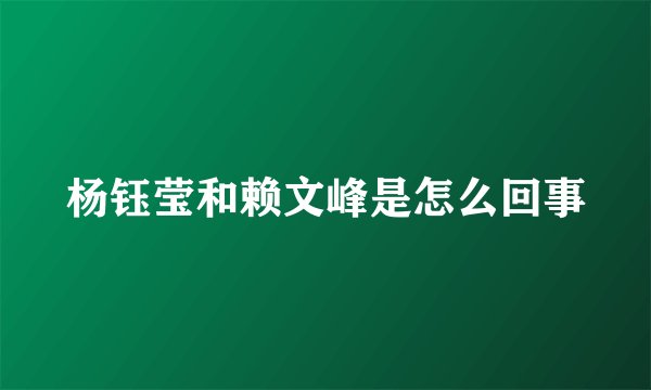 杨钰莹和赖文峰是怎么回事