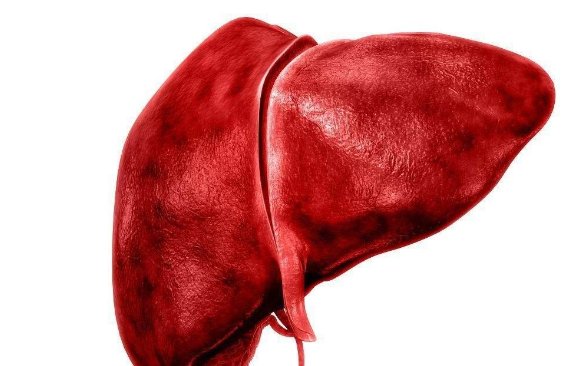 肝脏被称为“人体化工厂”，是人体的解毒器官，应如何保护好肝脏？