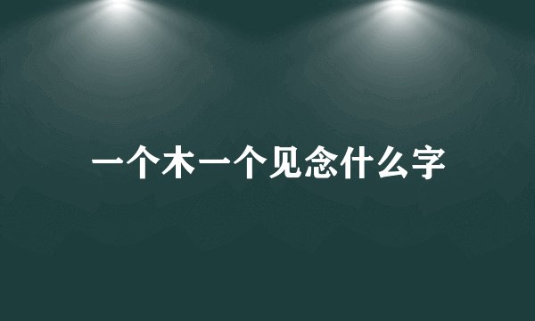 一个木一个见念什么字