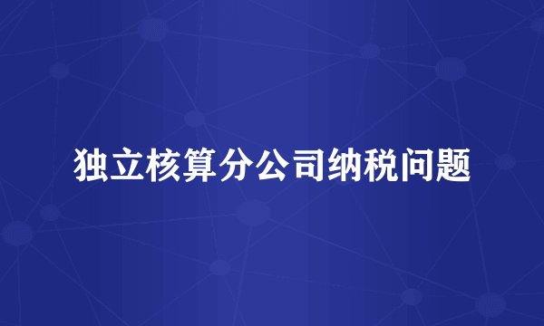 独立核算分公司纳税问题