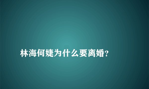 
林海何婕为什么要离婚？


