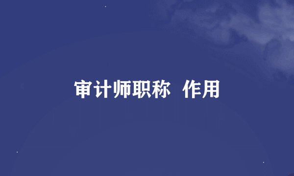 审计师职称  作用