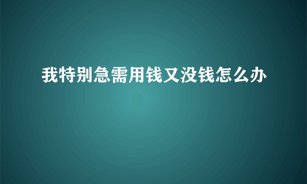 我特别急需用钱又没钱怎么办