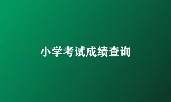 小学考试成绩查询