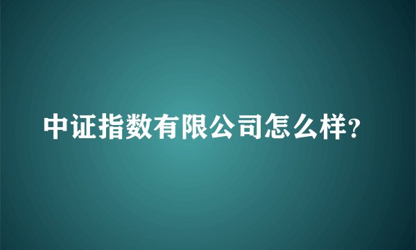 中证指数有限公司怎么样？
