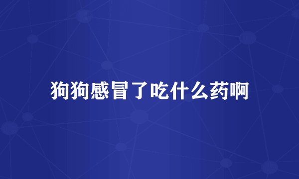 狗狗感冒了吃什么药啊