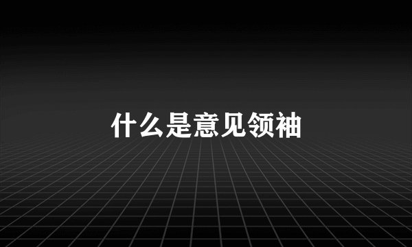 什么是意见领袖