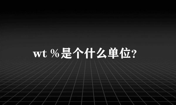 wt %是个什么单位？