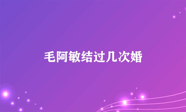 毛阿敏结过几次婚