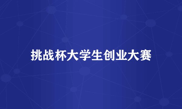 挑战杯大学生创业大赛